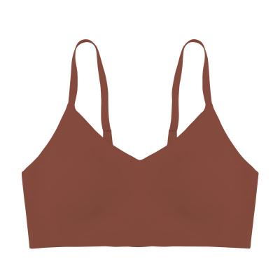 China Private Logo QUICK DRY Non-wired Breathable Spandex Crop Bra Plus Size Seamless T-shirt Women Wireless Bra for sale