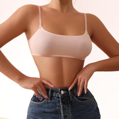 China QUICK DRY Elegant Women Pink Fixed Adjustable Straps Soft Padded Wire Free Thin Cup Ribbed Seamless Bra for sale