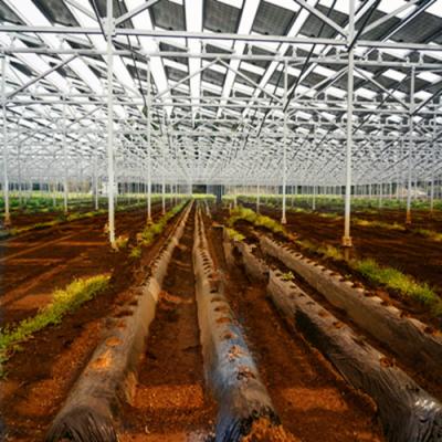 China Aluminum Alloy/Stainless Steel 3 MW Farm Mount Aluminum Alloy Solar Agricultural Solar For Solar Agricultural Greenhouses Mounting System for sale