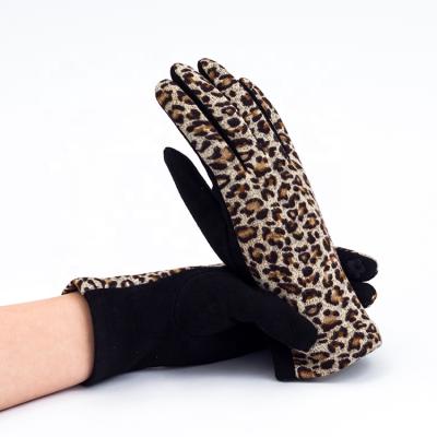 China Touch Screen Touch Screen Spliced ​​Leopard-print Ladies' Gloves With Velvet for sale