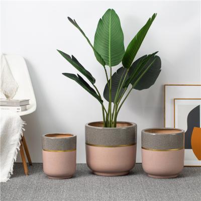 China New Arrival Modern Home Decor Eco-friendly Luxury Home Succulent Pots Ceramic Garden Flower Pots for sale