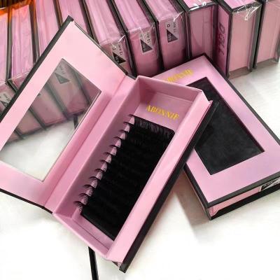 China 0.03 0.05 22 25 Delicate Korean Matte Black Extensions Private Label Handmade Individual Classic Silk Bulk Eyelash Volume Lashes for sale