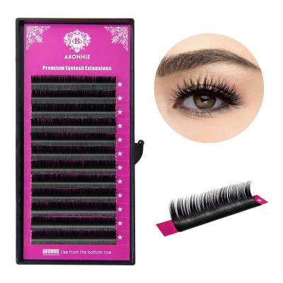 China Natural Synthetic Extensions Tray Eyelash Super Soft Individual Silk Eyelash Extensions from Abonnie for sale