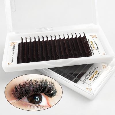 China Long Chocolate Color Eyelash Extension Korean PBT Natural Private Label 18 20 Brown Color Eyelash Extensions 22mm for sale