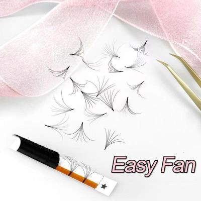 China False Easy Mink Mega Volume Lashes Fan 0.05mm Tray 0.07 Sensitive Russian Mixed Lashes Wholesale Price Volume Lashes 8-15mm Lashes for sale