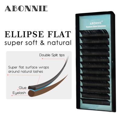 China Best Selling ABONNIE 2019 Softer Ellipse Flat Lash Extensions Flat Lash Lashes Softer ABONNIE Products for sale