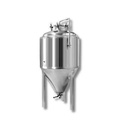 China Brewpub Stainless Steel Beer Filling Tank 200l 300l 500l Microbrewery Equipment for sale