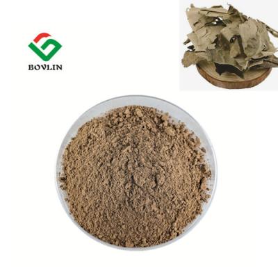 Cina 100:1 Kacip Fatimah Extract in vendita