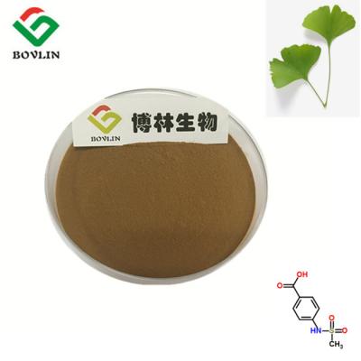 China Halal NaturalGinkgo Biloba Extract Powder , Ginkgo Biloba Herbal Supplement for sale