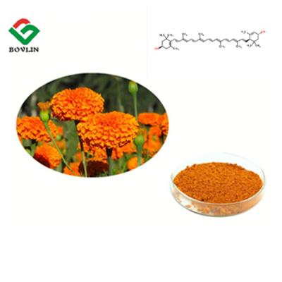 China Vision Protection 5% CAS 127-40-2 Marigold Flower Extract For Eyes for sale