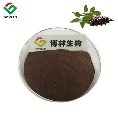 China 25% Antigrippe-Antioxidations-Holunderbeerfrucht-Pulver natürlich zu verkaufen