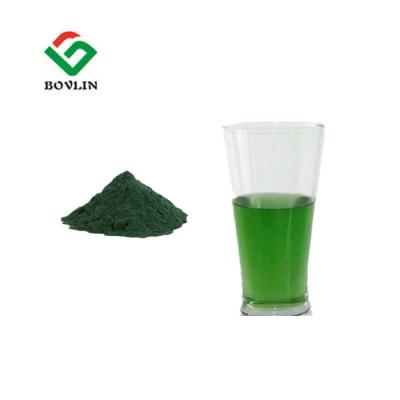 China ISO9001 Edible Organic Chlorophyll Powder , Magnesium Chlorophyllin for sale