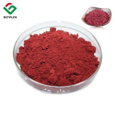 Cina Polvere rossa di Monascus di colorante alimentare commestibile, polvere rossa dell'estratto del riso del lievito in vendita