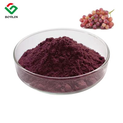 Cina Estratto naturale della pelle dell'uva della polvere del pigmento di CAS 11029-12-2 commestibile di colorante alimentare in vendita