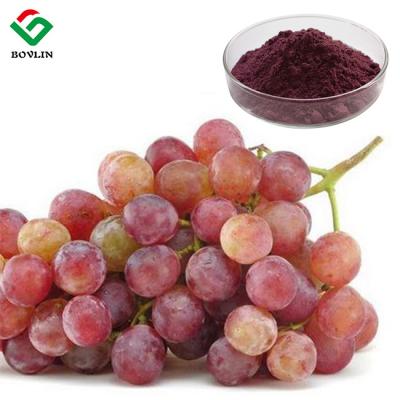 Cina Estratto antiossidante di ENO Powder Red Grape Skin dell'antociano commestibile in vendita