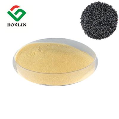 China Heat Toxin Remove Black Soybean Peptides Powder  For Health Care for sale