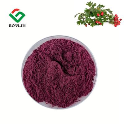 China Anthocyanin-Holunderbeer-Juice Powder-HPLC Holunderbeerfrucht-Pulver zu verkaufen