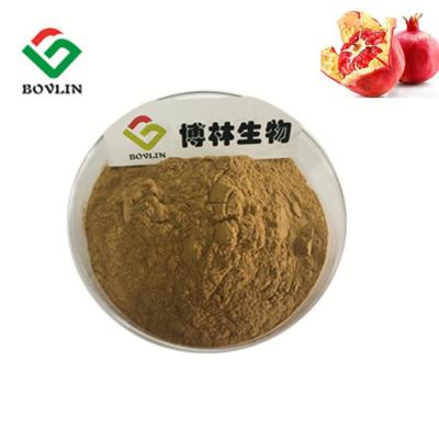 China Organischer Obst- und GemüsePulver-Kosmetik-Granatapfel-Schalen-Auszug Browns zu verkaufen