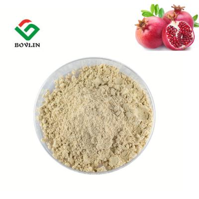 China Brown färben 40% Ellagic saures Pulver 80 Mesh Pomegranate Bark Powder gelb zu verkaufen