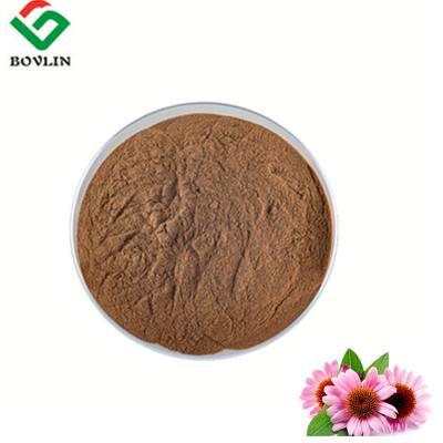 China Food Grade Echinacea Purpurea Root Extract Anti Inflammatory for sale