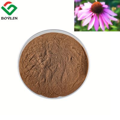 China TLC Natural Feed Additives Skin Herb Pharm Echinacea Powder for sale