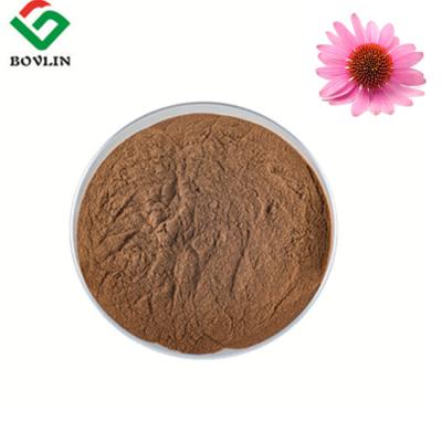 China 80 Mesh Natural Feed Additives Echinacea Herb Extract Brown Yellow Color for sale