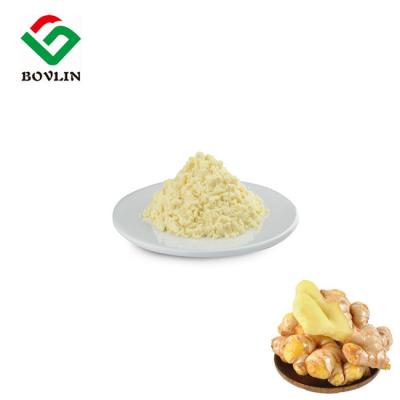 China Frisches organisches Obst- und GemüsePulver Ginger Powder CAS 8002-60-6 für Gesundheitswesen zu verkaufen