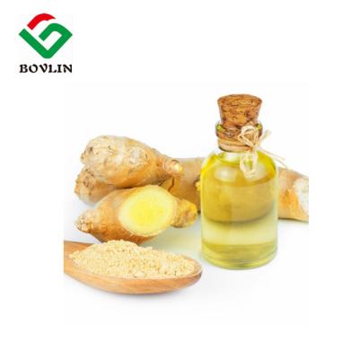 China ISO9001 30% Plant Root Extract Ginger Essential Oil For Hair CAS 8007-08-7 for sale