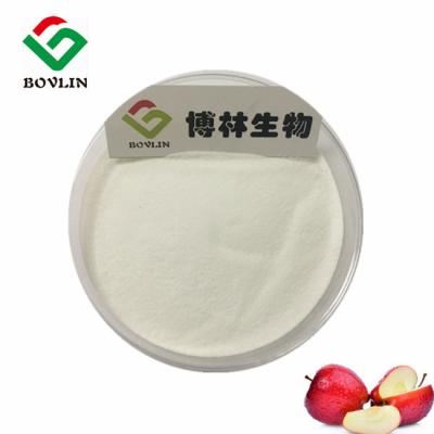 China El sabor de la fruta de Apple de los aditivos alimenticios de alimento biológico de la fragancia pulveriza el TLC en venta