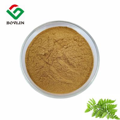 China Food Grade Polypodium Leucotomos Leaf Extract HPLC 80 Mesh for sale