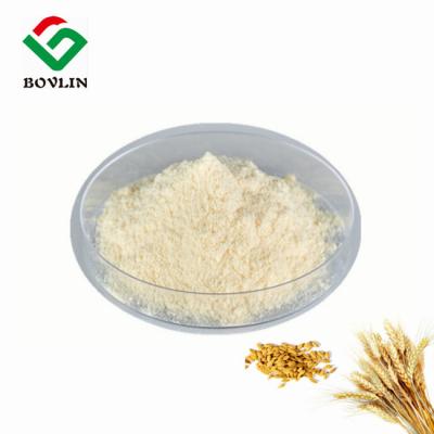 China Food Additives Pure Wheat Peptides Powder High Glutamine 75% for sale