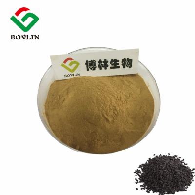 China CLAR Sativa del polvo de Thymoquinone del extracto de CAS 490-91-5 Nigella en venta