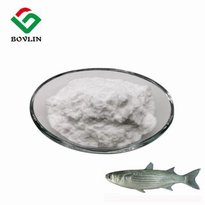 China Nutraceuticals Marine Collagen Protein Powder Fish Scales 90% for sale