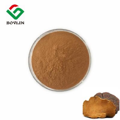 China Food Grade Phellinus Linteus Extract Polysaccharides Powder For Healthcare for sale