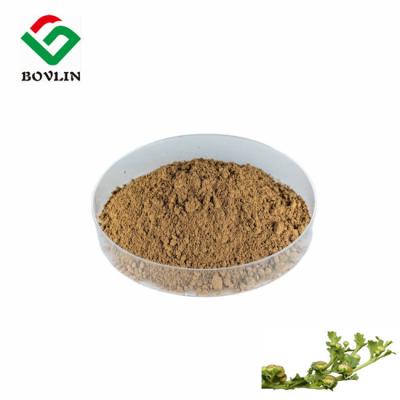 China Food Grade Centipeda Minima Extract Powder For Health Care 10:1 for sale