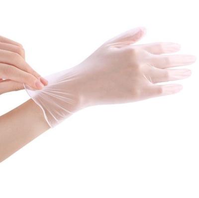 China Vinyl Glove Thin Vinyl Gloves PVC Free Disposable Gloves for sale