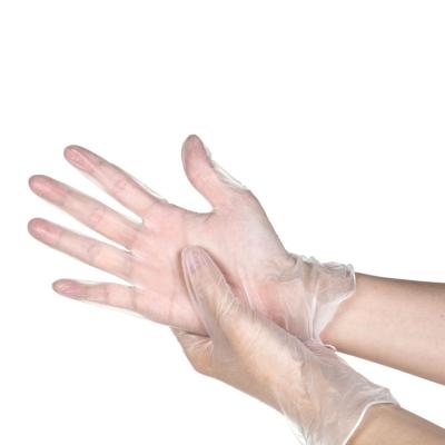 China Thin Vinyl Glove PVC Disposal Gloves Vinyl And Latex for sale