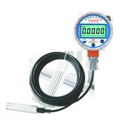 China 4~20mA Output And RS485 Communication Magnetic Liquid Level Gauge With High Power Lithium Battery for sale