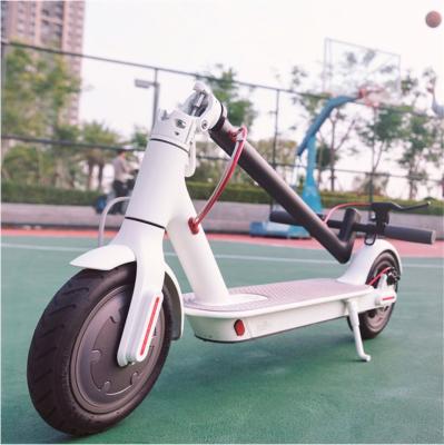 China Unisex Most Popular Electric Scooter 350w Folding Electric Scooter On Sale for sale