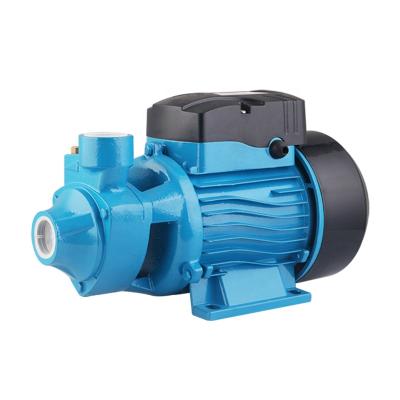 China Electric Peripheral Domestic Water Supply High Pressure STRATEGY 60 Vortex Water Pump for sale