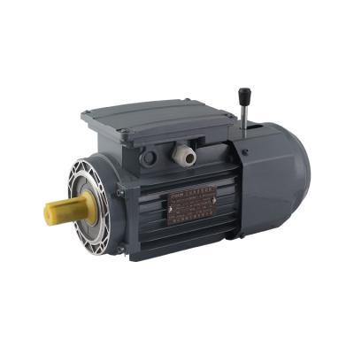 China 0.09kW-335kW Totally Enclosed 220-240V Totally Enclosed Fan Cooled Three Phase Asynchronous Electric Motor For Pump for sale