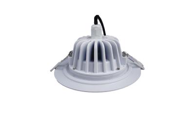 China Alto blanco puro blanco caliente ajustable del lumen Ip65 LED Downlight 18 W en venta