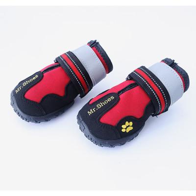 China Viable Thoughtful Greyhound Dog Mesh Elastic Tape Red Buddy Walking Walking Running Hiking Shoes Boots for sale