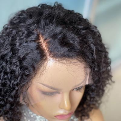 China Water Wave Christmas Color 180% Density Hot Natural 12in Density Curl Hair Exotic Lace Front Wig Hair Products for sale