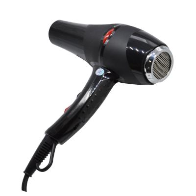 China AC Motor Ionic Wholesale Travel Hair Dryer High Wind Wall Mounted Hair Dryer Salon With Diffuser Blow Dryer Secador De Cabelo for sale