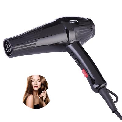 China Ion Household 2300w Professional Negative AC Motor Portable Hair Fan Straightener Ion Hair Dryer Powerful for sale