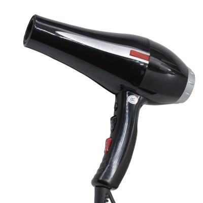 China 2021 Salon 2200W Electric Professional Private Label Hair Tools Ionic Hair Dryer Machine AC Motor Hair Blow Dryer for sale