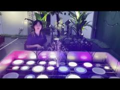 LED PAR56 Pool Light