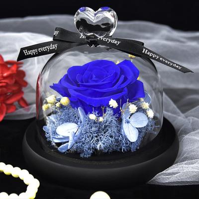 China Weddings Decoration Ammy Christmas Valentine's Day Mother's Day Creative Gift Rose Dried Flower Factory Glass Cover for sale