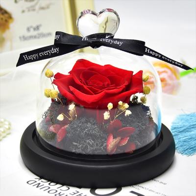 China Glass Cover Rose Dried Flower Factory Weddings Decoration Ammy Eternal Flower Valentine's Day Gift Creative Gift for sale